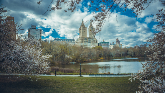 Take An Allergy-Friendly Bite Out of the Big Apple: NYC Restaurant Guide