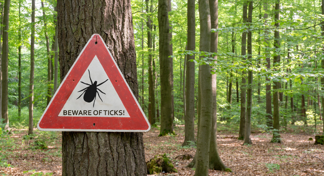 How a Tick Changed Me: My Life With Alpha-Gal Syndrome