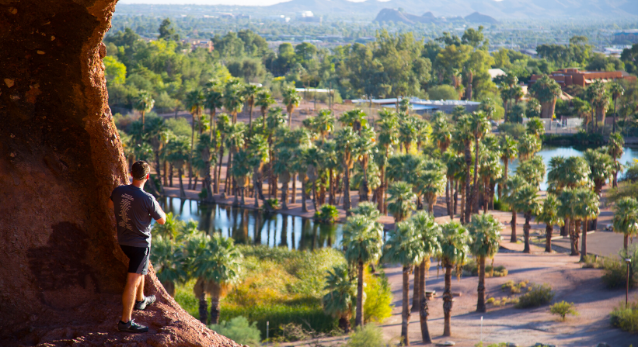 Top Allergy-Friendly Restaurants in Phoenix